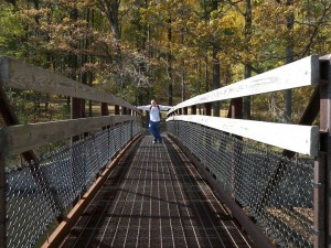 Cowans Gap bridge