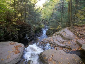 falls