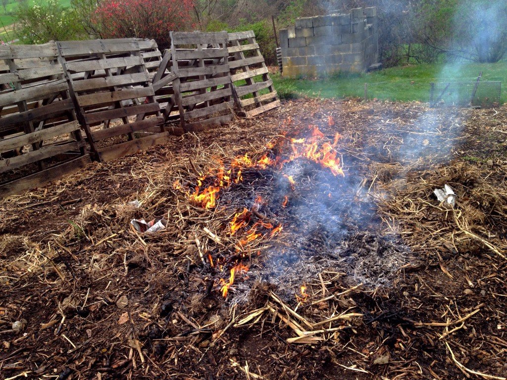 burning brush