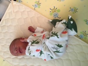 Dino Preemie