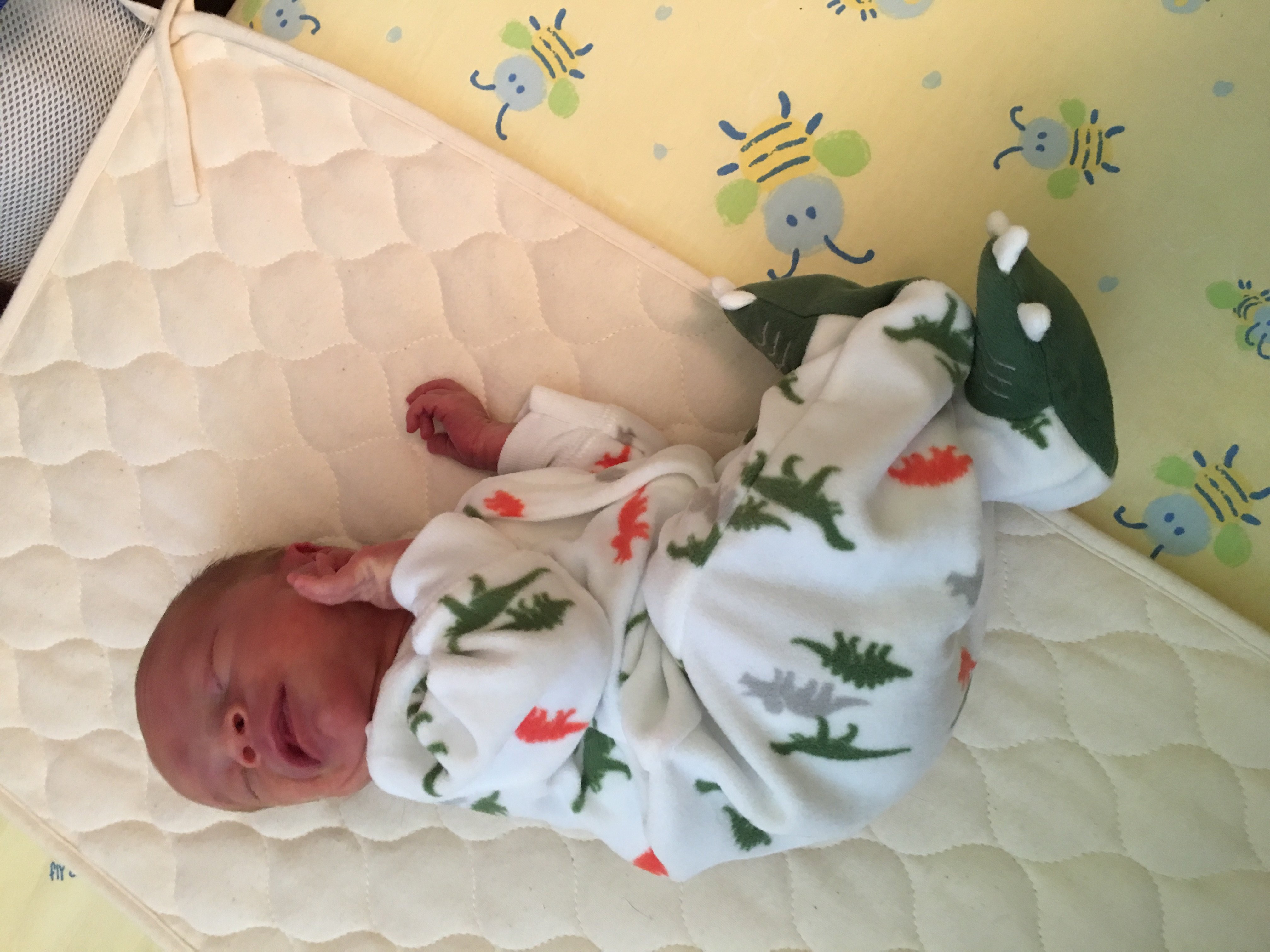 Dino Preemie