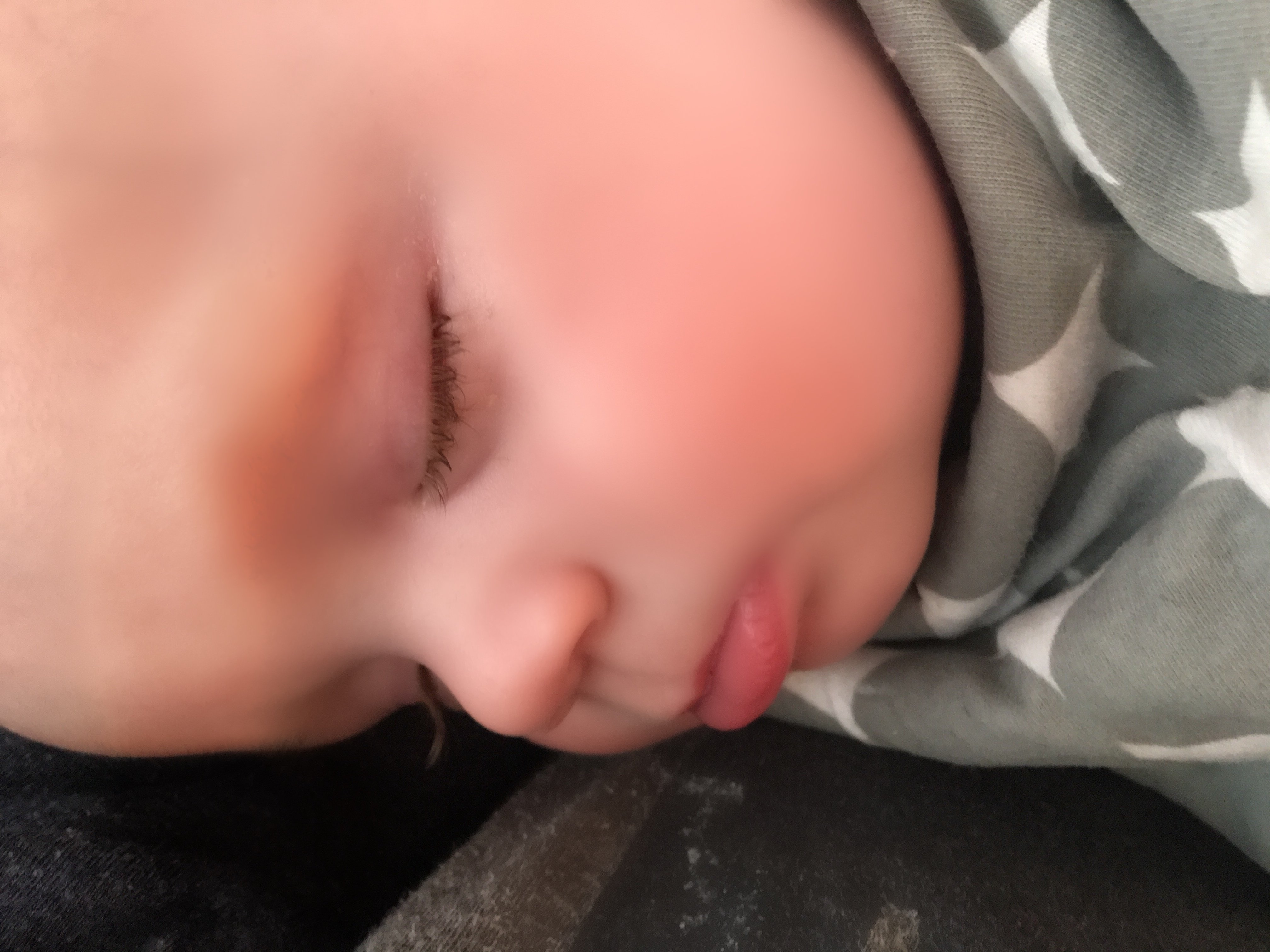 Asher snoozing