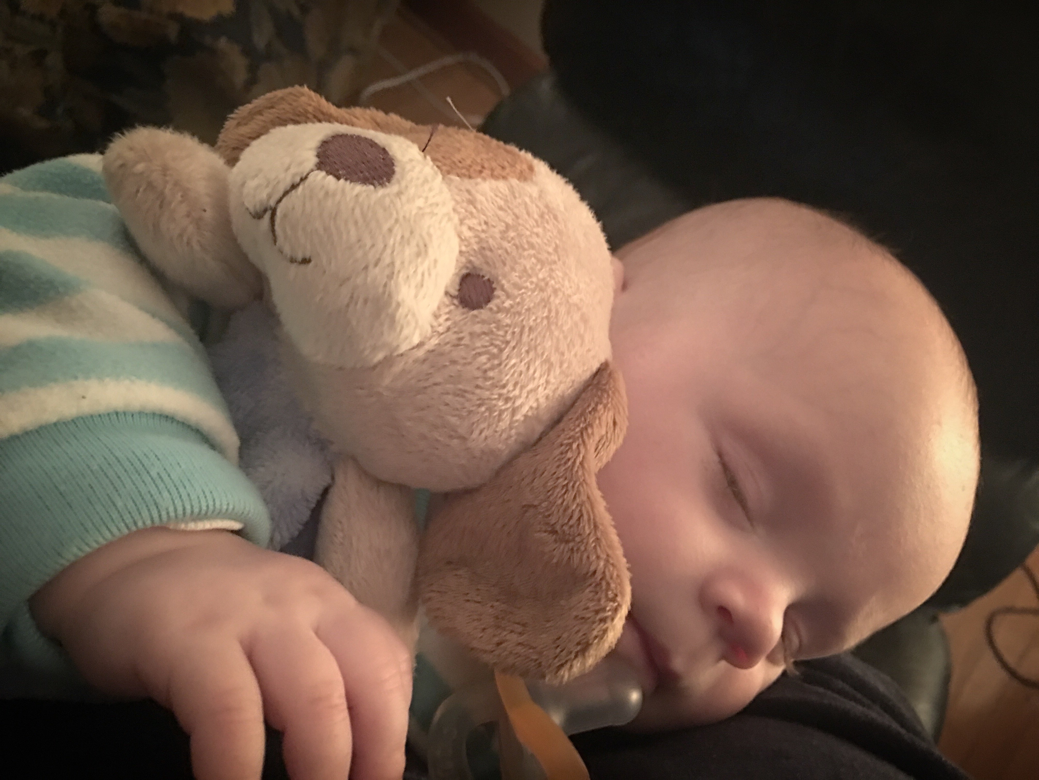 Sleepy Asher
