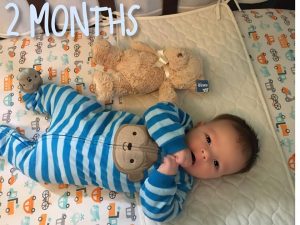 Shiloh 2 mo