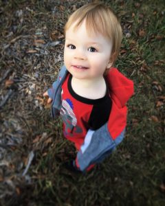 Recess: exploring the leaves