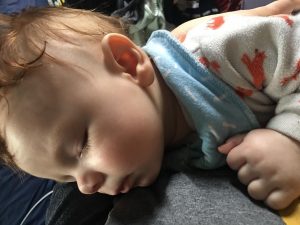 Shiloh sleeps