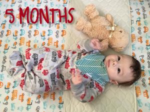 Shiloh is 5 months old
