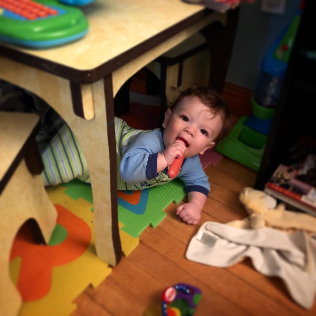 Shiloh Under Table