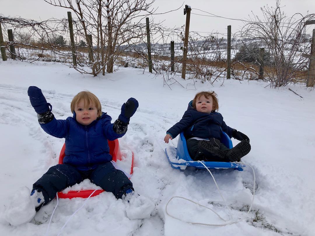 Sledding Brothers