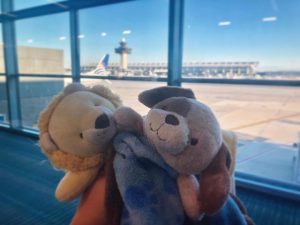 Lion and Puppy in front of Air Traffic Control