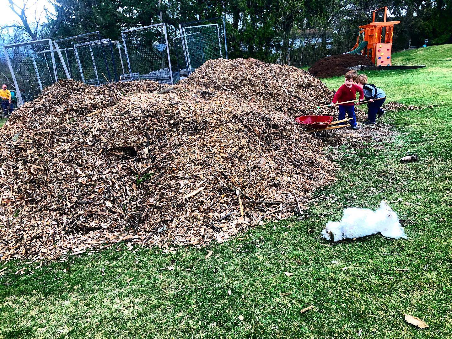Woodchips for Days