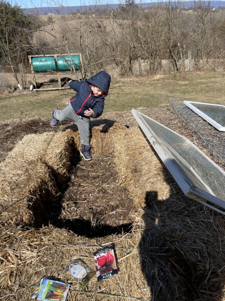 4 year old boy falling into space between hay bales